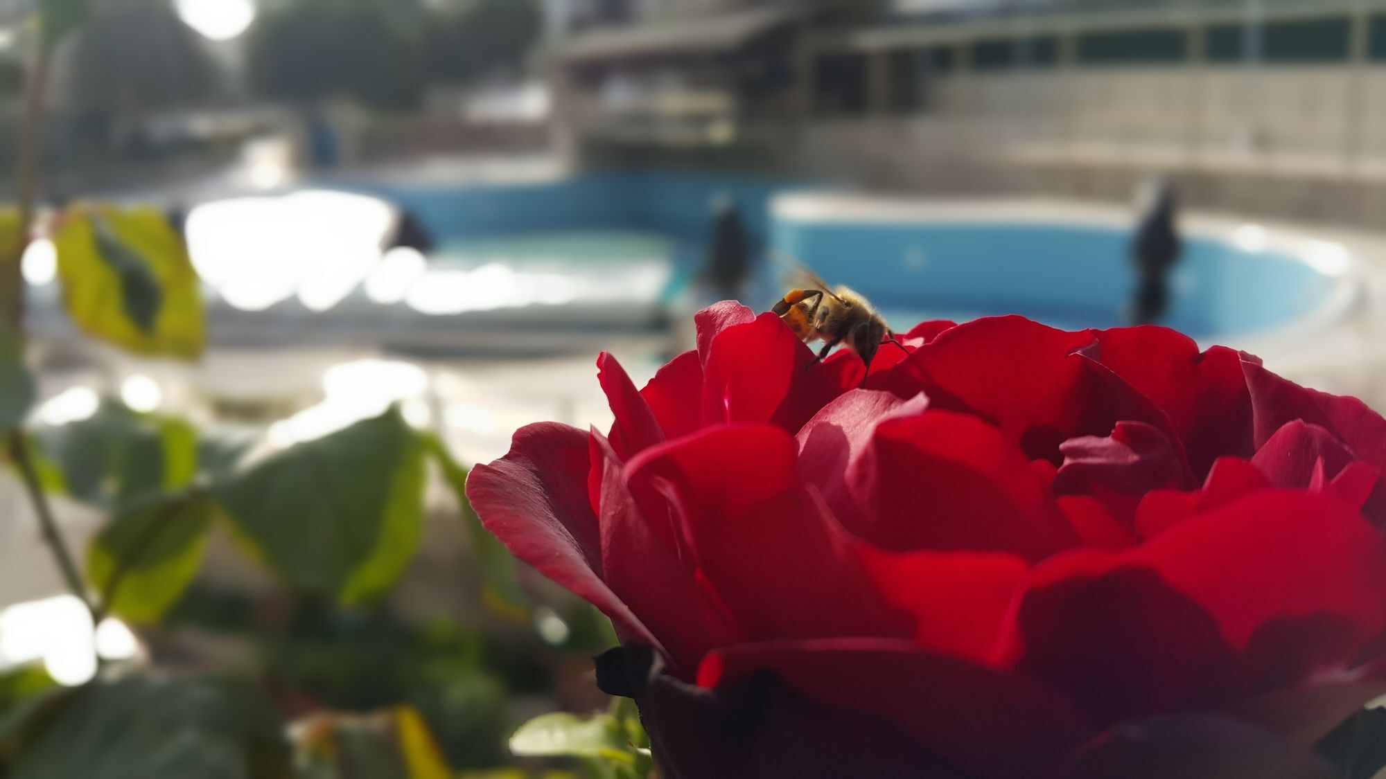Tu Casa Gelidonya Hotel ケメル エクステリア 写真